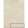 ISPAL BONE MAT 6,5X20 GAT.1 (P.96273)