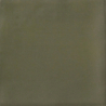 ISPAL GREEN MAT 10X10 GAT.1 (P.96255)