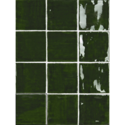 NOUR DARK GREEN POŁYSK 10X10 GAT.1 (P.95921)
