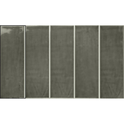 PUM MOSS POŁYSK 10X30 GAT.1 (P.96015)