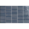 PIM BLUE POŁYSK 10X30 GAT.1 (P.96013)