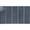 PUM BLUE POŁYSK 10X30 GAT.1 (P.96009)