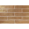 TERRANOVA AMBAR POŁYSK 6X25 GAT.1 (P.95965)