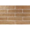 TERRANOVA MIX AMBAR POŁYSK 6X25 GAT.1 (P.95967)