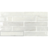 SAVANNAH WHITE POŁYSK 5X25 GAT.1 (P.95985)