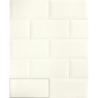 BISELADO MARFIL BRILLO POŁYSK 10X20 GAT.1 (P.95807)