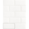 BISELADO BLANCO BRILLO POŁYSK 10X30 GAT.1 (P.95781)