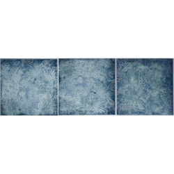 LAGOON 15X45 GAT.1 (P.96695)