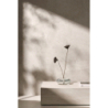 NOBILE X BIANCO NATURAL 60X120 REKT. GAT.1 (P.96941)