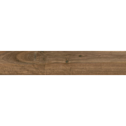 ITHACA ROVERE MAT 23X120...