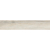 JAZZ ALMOND MAT 23X120 GAT.1 (P.97101)