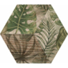 AFRICA MAT 23,2X26,7 GAT.1 (P.97389)