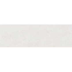 VERONA WHITE MAT 31,6X100...