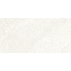 DHARA WHITE BRILLO...