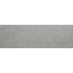 NEOLITICK GREY MAT 31,6X100...