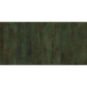 NUANCE GREEN DECOR POŁYSK 29,5X59,5 REKT. GAT.1 (P.98019)