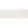 PREMIERE WHITE MAT 31,6X100 REKT. GAT.1 (P.98119)