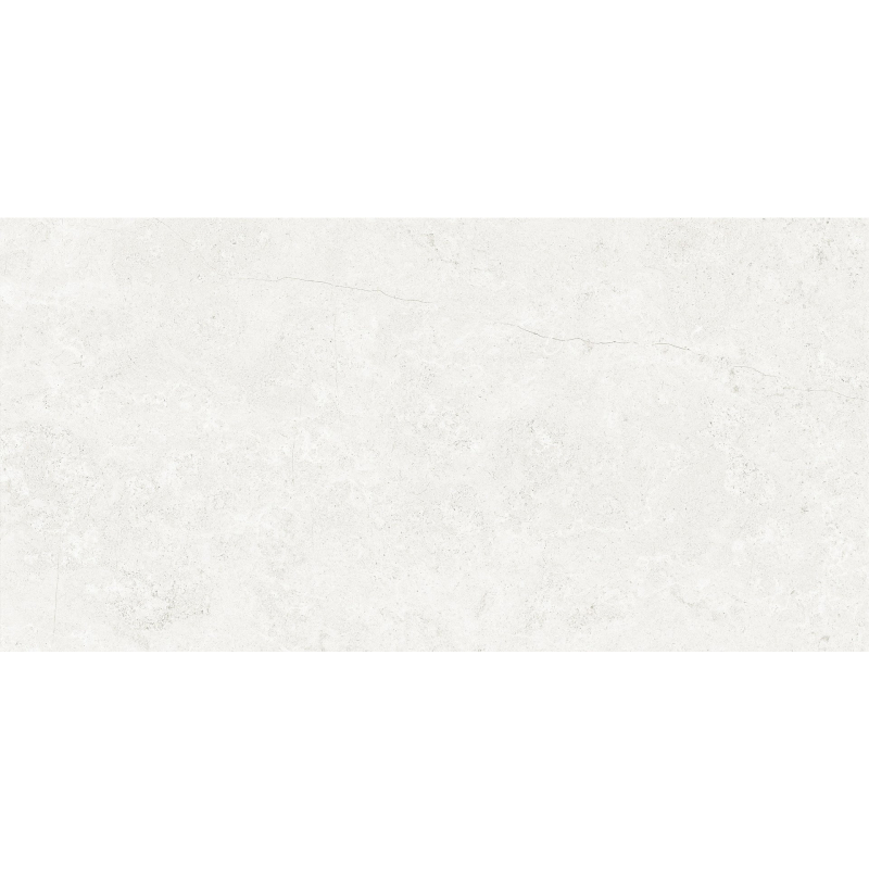 PLATINO BIANCO COLORBODY RUSTIC WITH GLOSSY 60X120 REKT. GAT.1 (P.98329)