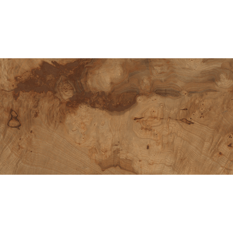 BIRCHWOOD STRUCTURE 60X120REKT. GAT.1 (P.38841)