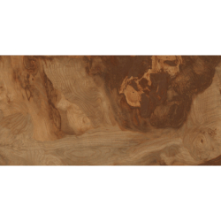 BIRCHWOOD STRUCTURE 60X120REKT. GAT.1 (P.38841)