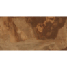 BIRCHWOOD STRUCTURE 60X120REKT. GAT.1 (P.38841)