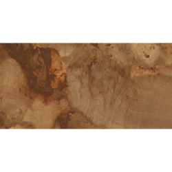 BIRCHWOOD STRUCTURE 60X120REKT. GAT.1 (P.38841)