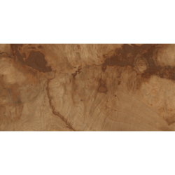 BIRCHWOOD STRUCTURE 60X120REKT. GAT.1 (P.38841)
