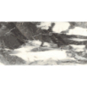 EMERALD ICE WOOL CARVING 60X120 REKT GAT.1 (P.38843)