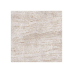 TAJ MAHAL POLER 120X120...
