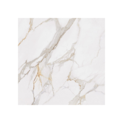 CALACATTA ORO POLER 120X120...