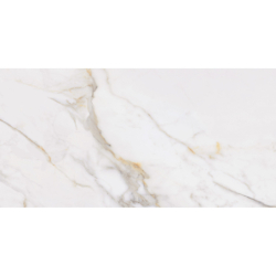CALACATTA ORO POLER 60X120...