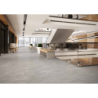 NOLITA GRIS MAT 30X60 REKT. GAT.1 (P.98817)