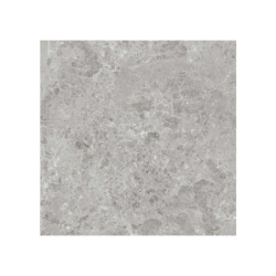 MARAIS GRIS MAT 120X120...