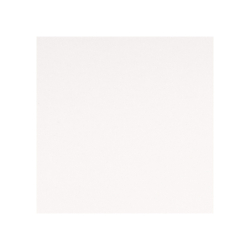 PURE WHITE POLER 120X120...