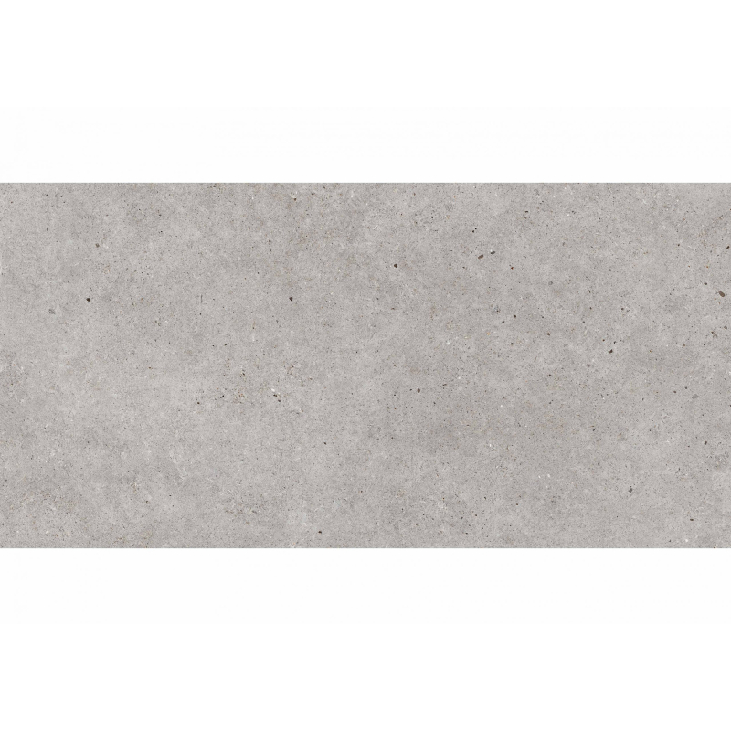 BASEL GRIS MAT 60X120 REKT. GAT.1 (P.99259)