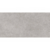 BASEL GRIS MAT 60X120 REKT. GAT.1 (P.99259)