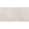 BASEL CALIZA MAT 30X60 REKT. GAT.1 (P.99263)