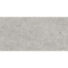 BASEL GRIS MAT 30X60 REKT. GAT.1 (P.99265)