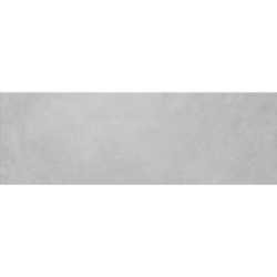 TAILOR GRIS MAT 40X120...