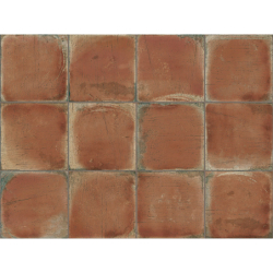 BOTTEGA PAOLO ROSSO POŁYSK 10X20 GAT.1 (P.99551)