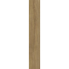 NODO NATURALE GRES SZKL. REKT. STRUKTURA MAT 19,8X119,8 GAT.1 (P.100061)