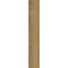 NODO NATURALE GRES SZKL. REKT. STRUKTURA MAT 19,8X119,8 GAT.1 (P.100061)