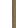 NODO BROWN GRES SZKL. REKT. STRUKTURA MAT 19,8X119,8 GAT.1 (P.100085)
