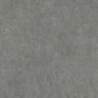 ACRON ANTHRACITE MAT N-PLUS 120X120 REKT. GAT.1 (P.100195)