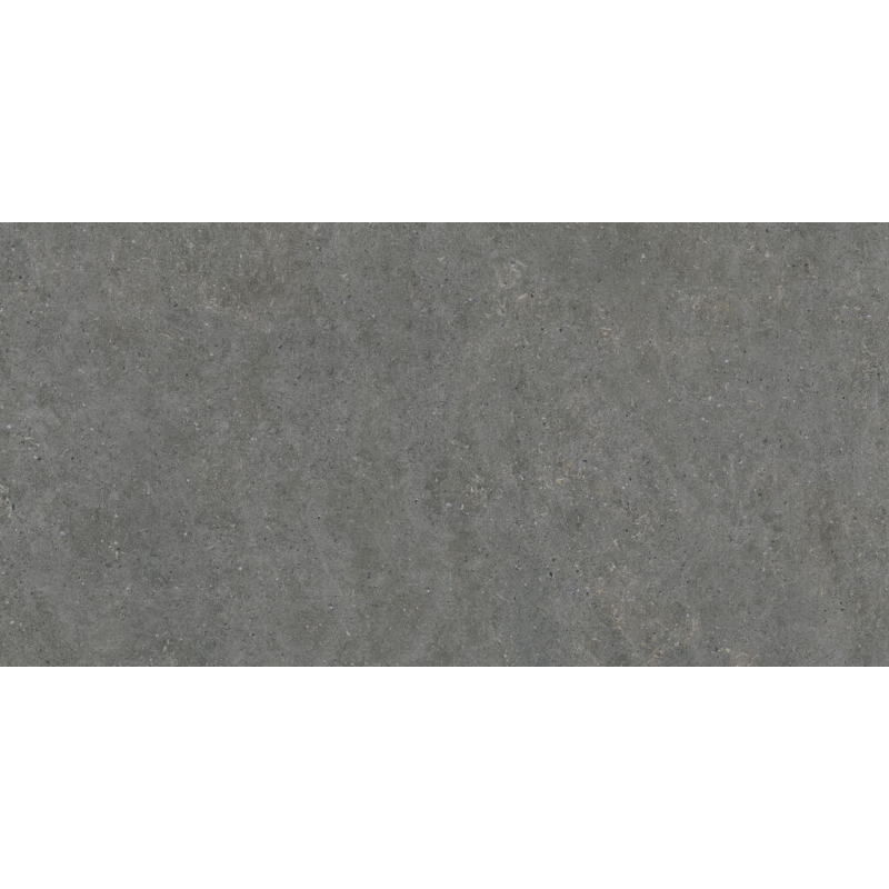 ACRON ANTHRACITE MAT N-PLUS 60X120 REKT. GAT.1 (P.100225)