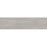 ADENA GREY MAT 30X120 GAT.1 (P.100293)