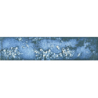ARK COSMIC POŁYSK 6X25 GAT.1 (P.100483)