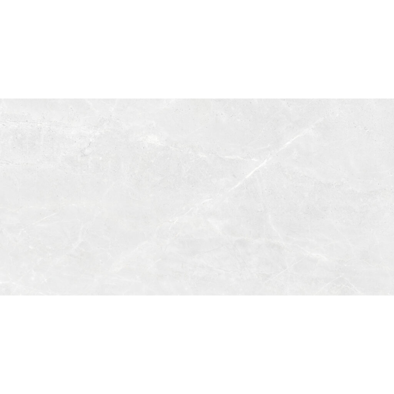 ATHEA WHITE POLER 60X120 REKT. GAT.1 (P.100525)