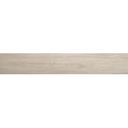 BAVARO CRUDO MAT 20X120...
