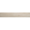 BAVARO CRUDO MAT 20X120 REKT. GAT.1 (P.100625)